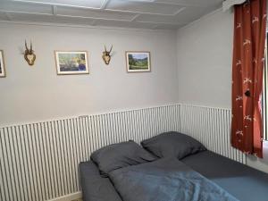 a room with a bed with antlers on the wall at Ritschel Alm Limbach in Probstzella +25 photos