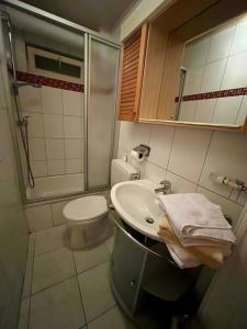 a bathroom with a sink and a toilet and a shower at Schwarzwald-Ferienwohnung Lehmann in Oppenau