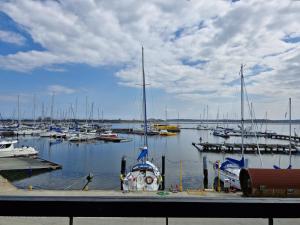 a bunch of boats docked in a harbor at Hotel Galion in Gdańsk