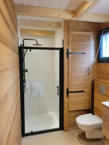 a glass shower in a bathroom with a toilet at Chalet des Briseux in Saint-Maurice-sur-Moselle +13 photos