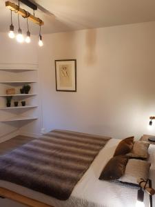 a bedroom with a large bed with brown pillows at Ô'wazo, Jolie Maison, Piscine in Lanton +21 photos