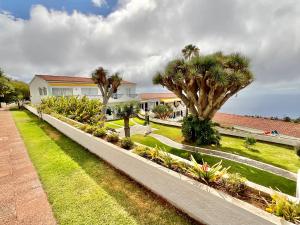 a garden with palm trees in front of a house at Atlantic Ocean Rest in Tacoronte