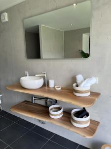 a bathroom with a sink and a mirror at Appartement Gorges du Tarn in Mostuéjouls +9 photos