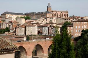 a city with a bridge and a bunch of buildings at La Chambre de Cécile in Albi
