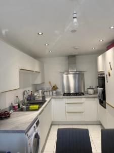 a kitchen with a sink and a stove top oven at Dzingai Home in Newport