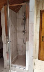 a shower with a glass enclosure in a bathroom at Chambres D'hôtes - Suite Pampas in Geiswiller