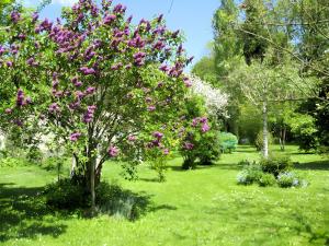 a tree with purple flowers in a field of grass at Studio chambre d'hôte in Panazol +2 photos