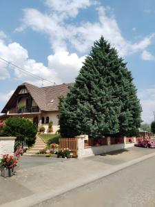 a large pine tree in front of a house at Chambres D'hôtes - Suite Pampas in Geiswiller