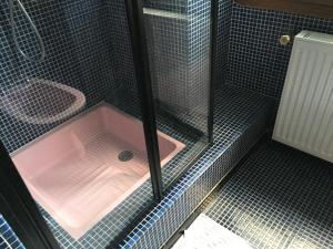 a shower with a pink tub in a bathroom at Chaleureuse Maison de Montagne in Garin +29 photos