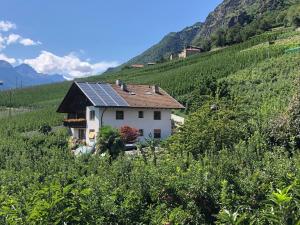 a house with solar panels on the side of a hill at Pixnerhof - Ferienwohnung Golden in Kastelbell-Tschars