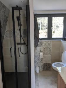 a bathroom with a shower and a toilet at Le petit Sabotier in Soucht
