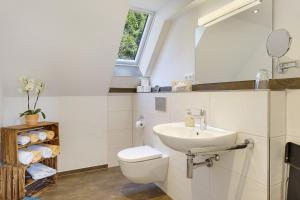 a bathroom with a toilet and a sink and a mirror at Ferienhaus Hensler in Hinterzarten +25 photos