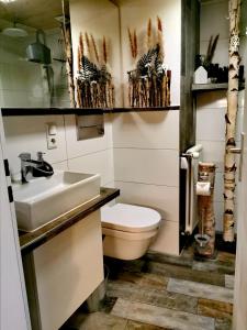 a bathroom with a white toilet and a sink at Allgäu Fewo Hüttenflair Bergblick in Bad Hindelang