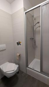 a bathroom with a toilet and a shower at CVJM Peregrinus Herberge in Görlitz