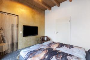 a bedroom with a bed and a tv on a wall at Deluxe Loft Hegau Bodensee in Hilzingen +9 photos