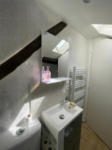 a small bathroom with a sink and a toilet at Logement Cosy centre Joigny C4 in Joigny