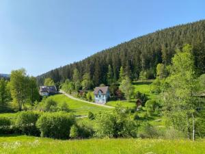 a house in the middle of a hill with trees at Schwarzwaldhaus Zwink Ferienhaus in Enzklösterle