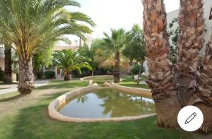 a pond in the middle of a yard with palm trees at Bonito bungalow en la playa in Gran Alacant
