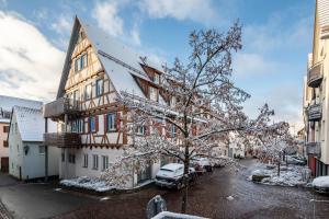 a building with a snow covered tree in front of it at Alte Schule in Münsingen