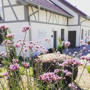 a garden with pink flowers in front of a house at Binzighof Ferienhäuser in Oberkirch