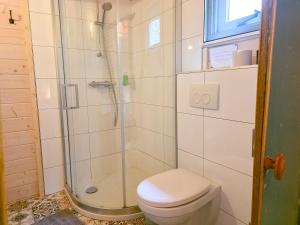 a bathroom with a toilet and a shower at Vakantiewoning Moerweie GR04 in Grijpskerke