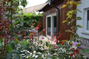 a garden with red flowers and a house at Glückshuuske Sauerland in Meschede