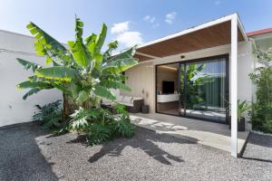a house with a palm tree in front of it at Rincón de la Fontana in San Nicolás