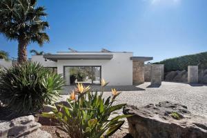 a white house with a palm tree and some plants at Villa Mila Piscina e Jacuzzi in Salir de Matos