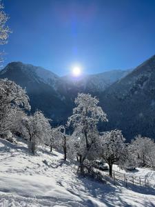 a snow covered hill with trees with the sun in the background at L'Ecrin de Venosc piscine privée in Les Deux Alpes