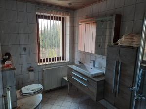 a bathroom with a sink and a mirror at Ferienwohnung Börner in Frauenstein +7 photos