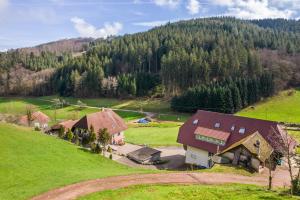 an aerial view of a house in a green field at Jorchenhof in Hofstetten