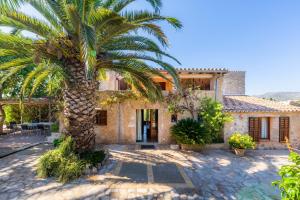 a palm tree in front of a house at Can Sua in Artá