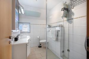 a bathroom with a shower and a sink and a toilet at Ferienwohnung am Blumengässle in Müllheim +13 photos