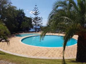 a swimming pool with a palm tree next to it at Vista Formosa in Funchal