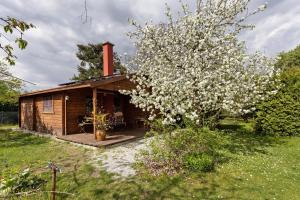 a wooden cabin with a flowering tree in front of it at Blockhütte in Fürstenwalde