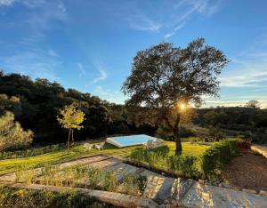 a house with a swimming pool and a tree at Finca Gorriones 25 minutos Sevilla in El Garrobo