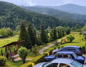 a row of cars parked on a road with mountains in the background at Котедж в ГОРАХ in Solochyn