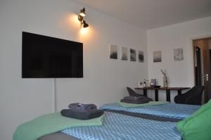 a room with two beds and a flat screen tv at Backbordkajüte am Steinhuder Meer in Wunstorf