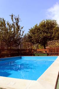 a blue swimming pool with a fence and trees at App Olivo Casa Demonti in Tignale