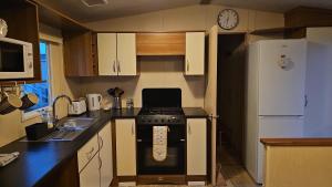 a small kitchen with a stove and a refrigerator at Seagulls Sunrise in Seasalter