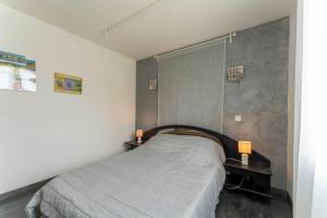 a bedroom with a bed with two night stands and two lamps at Chalet en Provence in Sorgues +20 photos