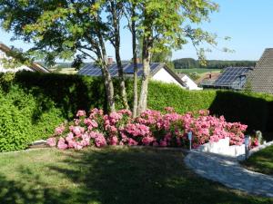 a bunch of pink flowers in a garden at Ferienwohnung Schwendemann in Laichingen