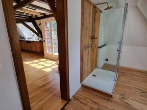 a room with a walk in shower in a room at Traum-Fewo Mosel-Panoramablick in Traben-Trarbach +34 photos