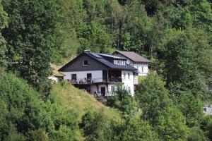a house on the side of a hill with trees at Ferienwohnung Voege am Waldrand in Schmallenberg