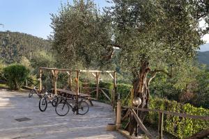 a picnic table and two bikes parked next to a tree at Casa chicken - mare, monti e bikers in Finale Ligure