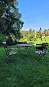 a picnic table and two chairs in the grass at Bienenhaus in Dornhan