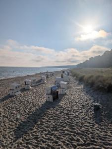 a row of beach chairs on a sandy beach at Ferienwohnung Strandliebe in Lubmin