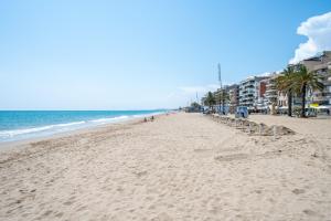 a sandy beach with palm trees and the ocean at Dorada Apartment Lluna in Calafell