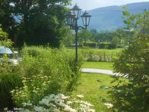 a street light in the middle of a garden at Fewo Meisennest, 50 Qm in Saalhausen