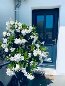 a bunch of white flowers in front of a blue door at La Paillote in Loctudy +2 photos